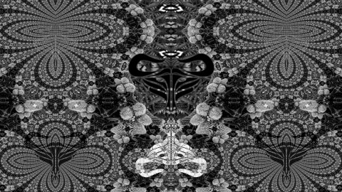  [GNU logos in yin-yang position on a fractal] 