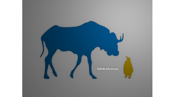  [Gnu and Tux wallpaper, colored shapes] 