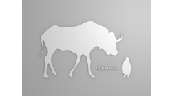  [Gnu and Tux wallpaper, white shapes] 