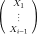 \left(
  \begin{array}{c}
    X_1 \\
    \vdots \\
    X_{i-1}
  \end{array}
\right)