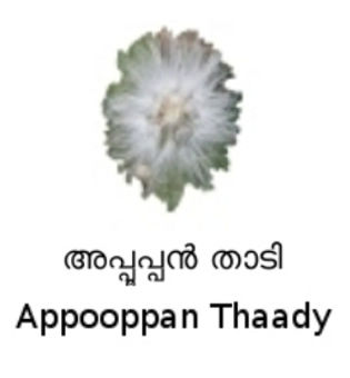 Figurë e lules Appooppan Thaady.