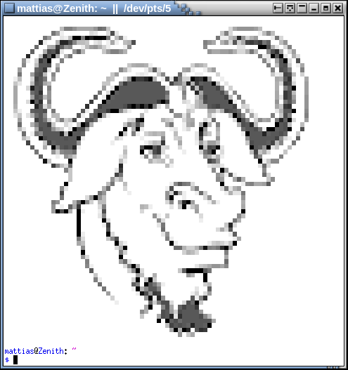  [GNU Head for terminal] 