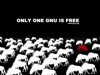  [GNU herd] 