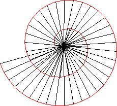 teodoro-spiral